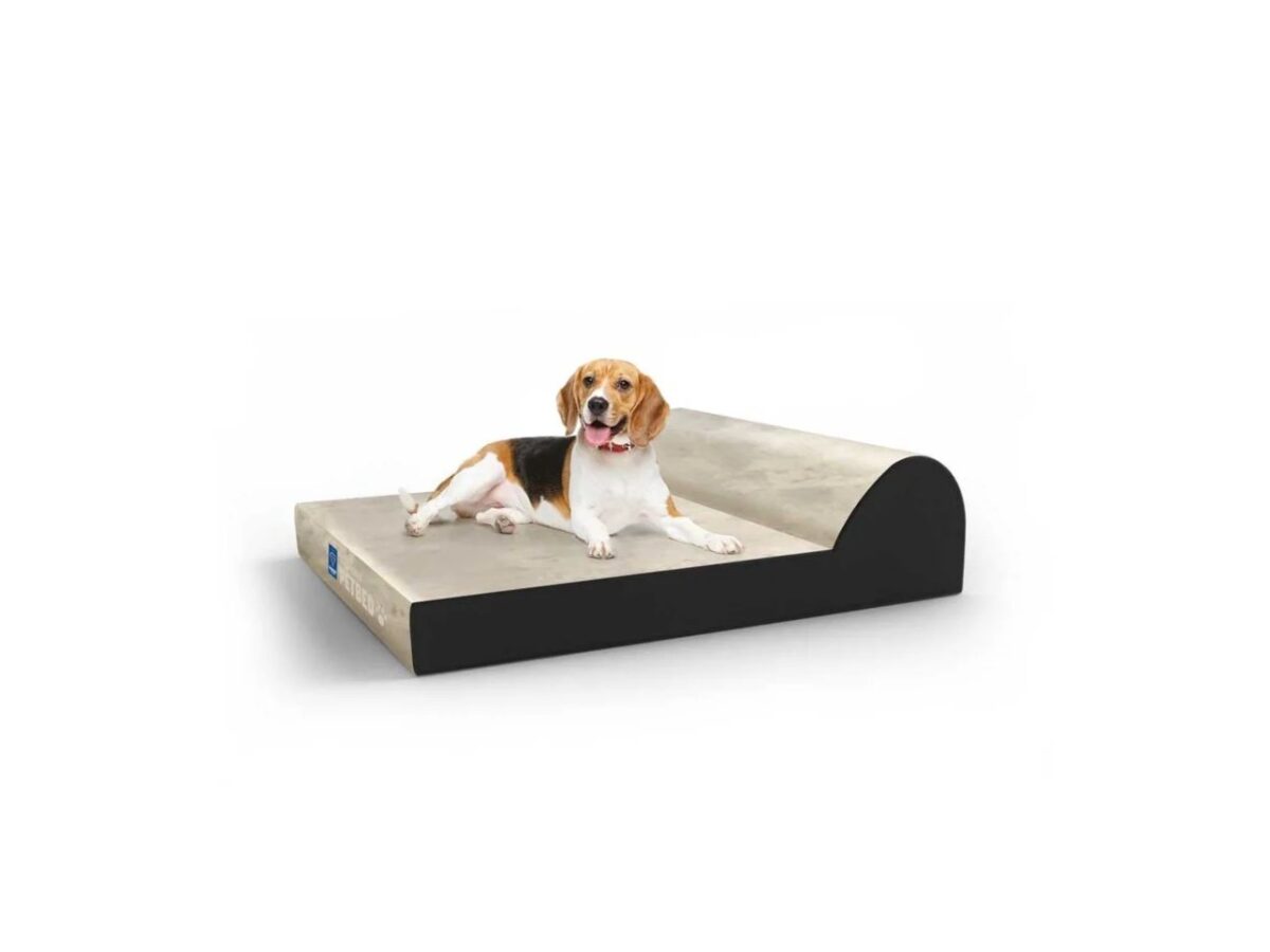 Supreme Pet Bed Diamond Foam Store