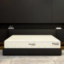 Dreamer 1000 Support Diamond foam store (1)
